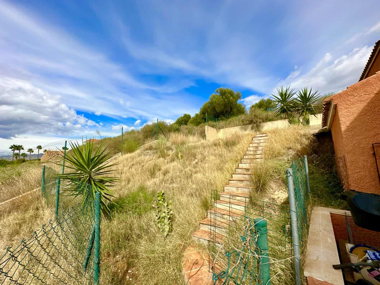 38830-spex-image-104