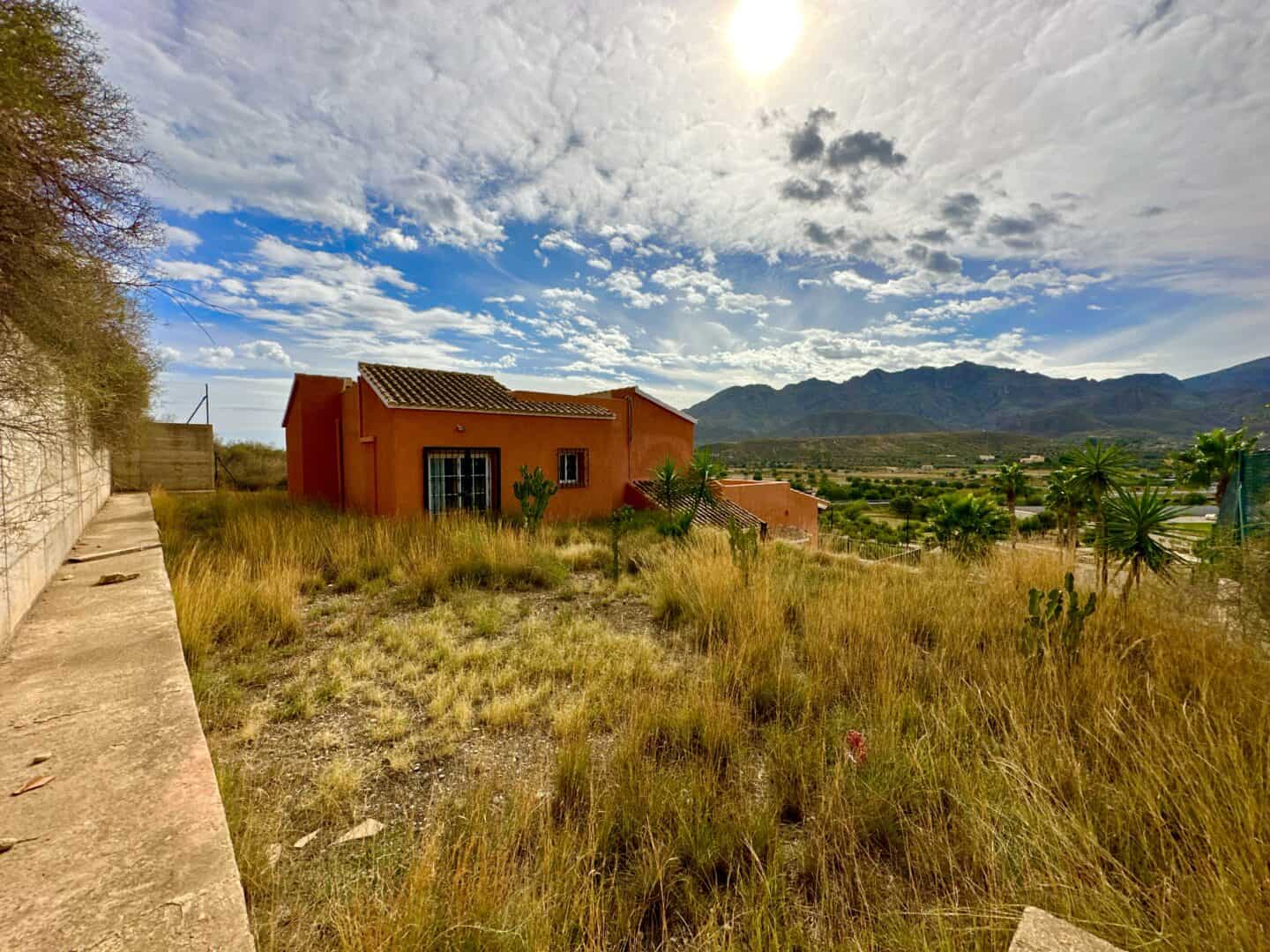 38830-spex-image-112