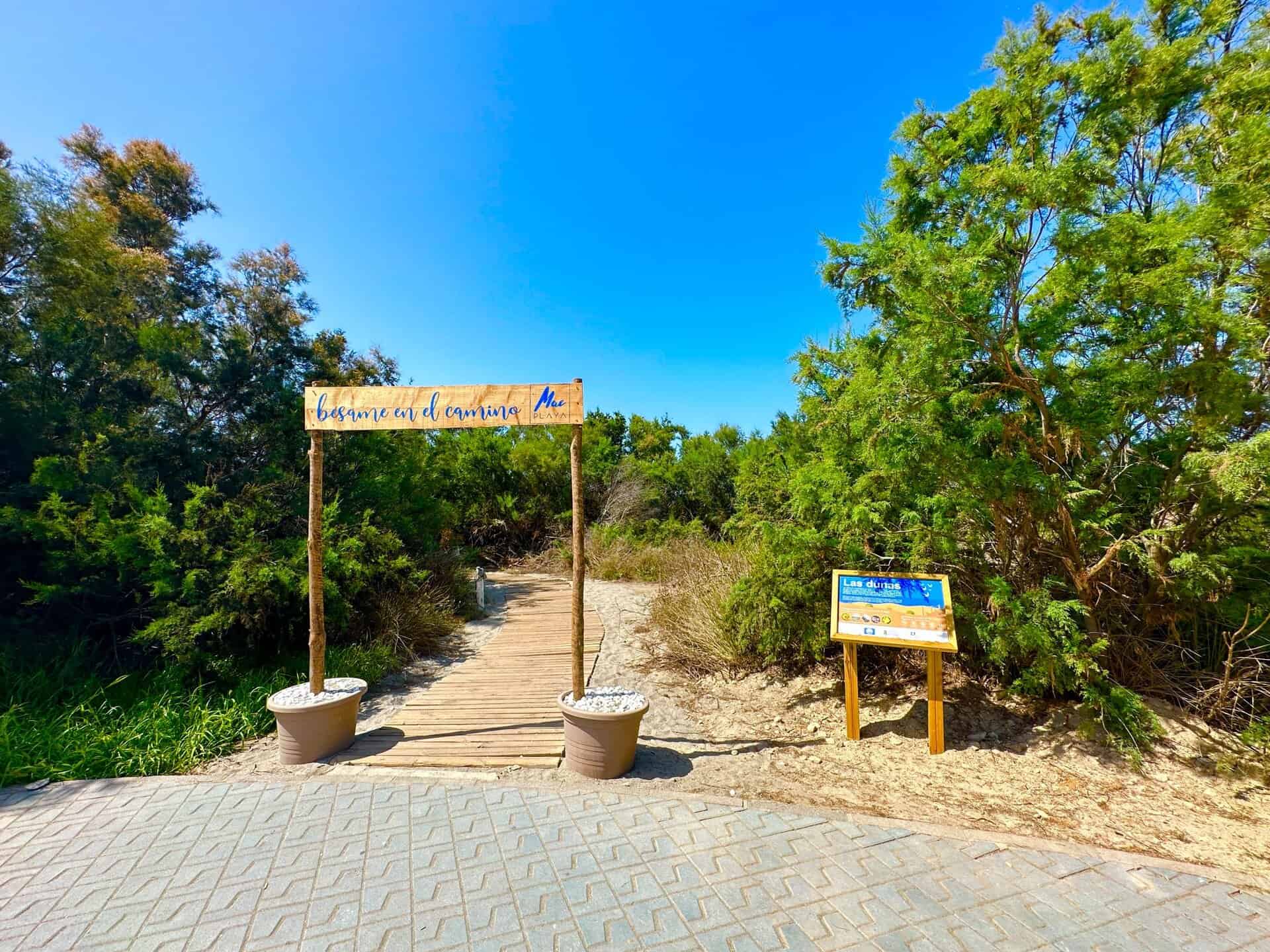 41091-spex-image-110