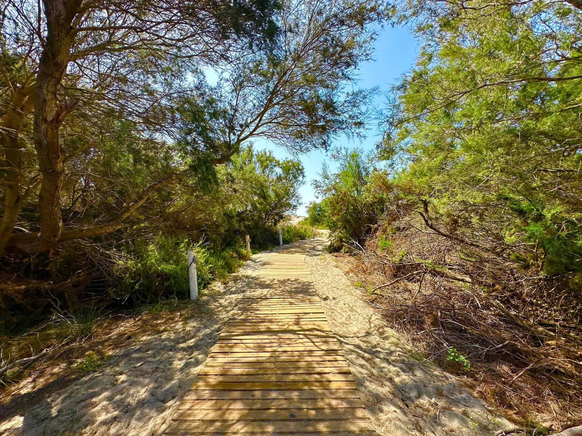 41091-spex-image-111