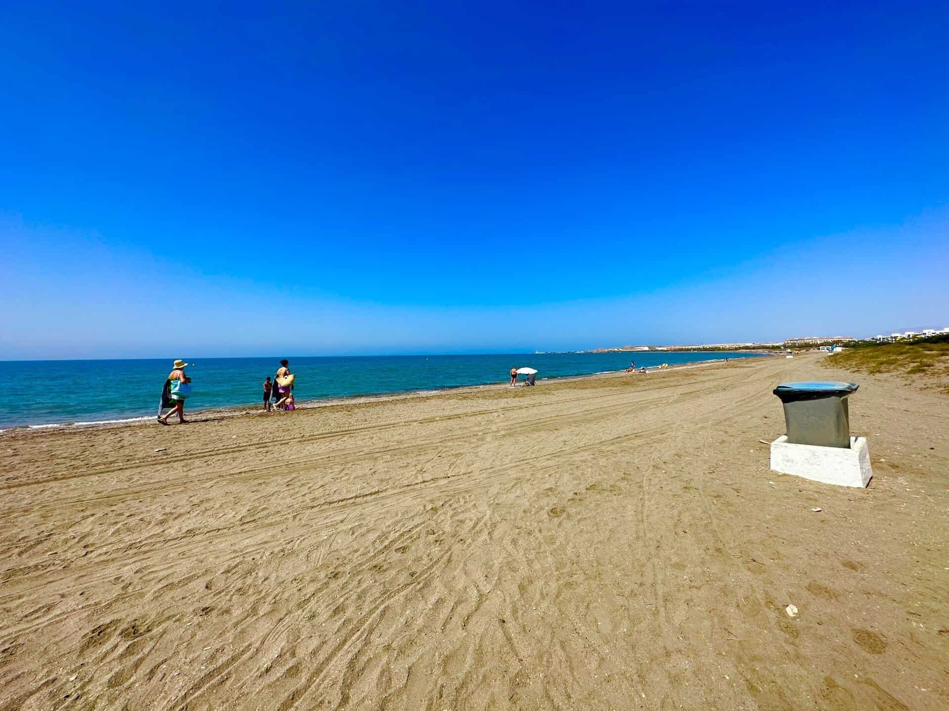 41091-spex-image-113