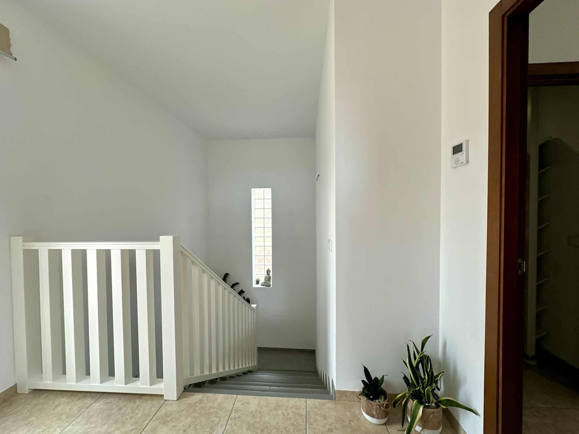 44612-spex-image-113