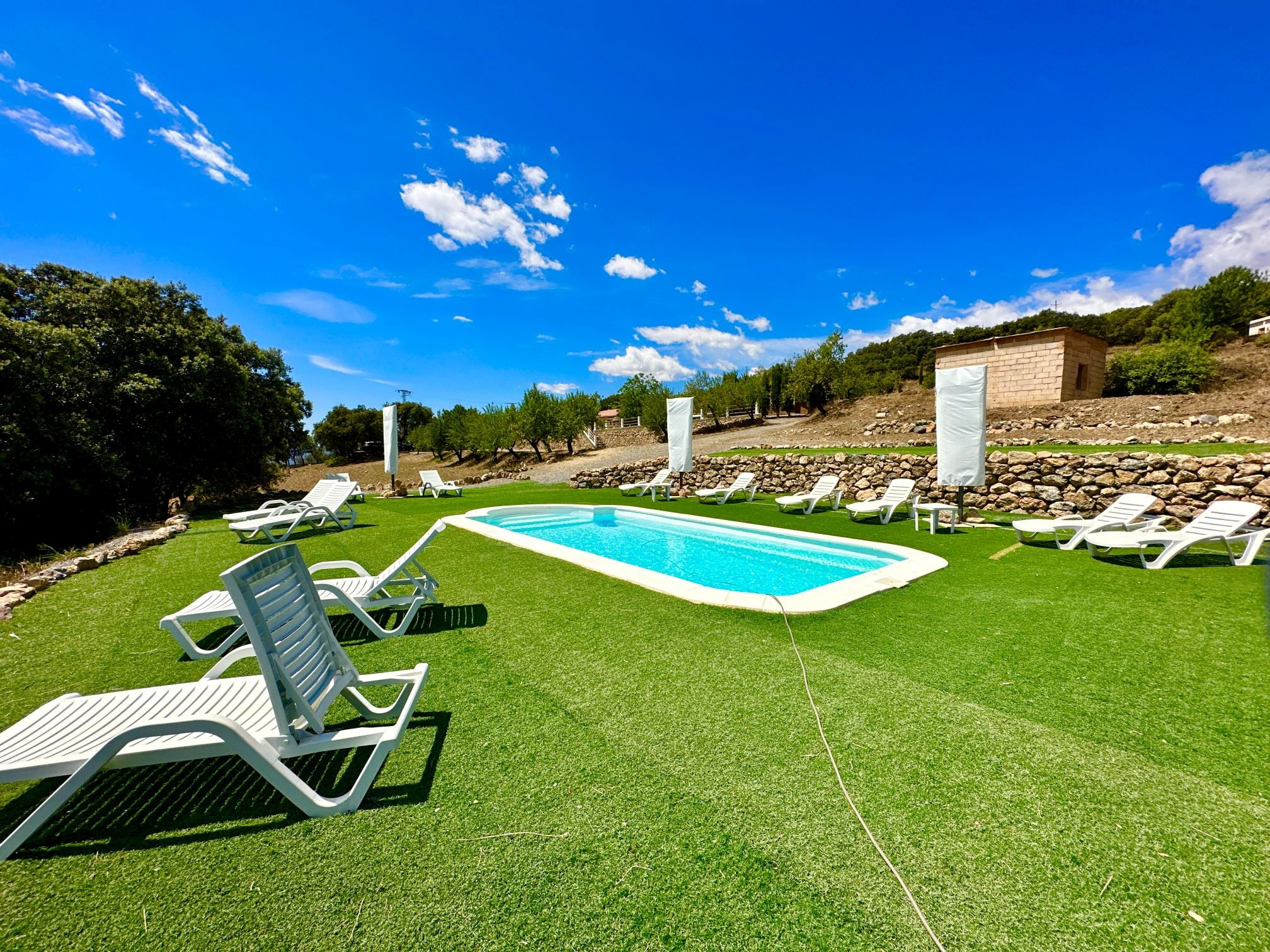 45134-spex-image-104