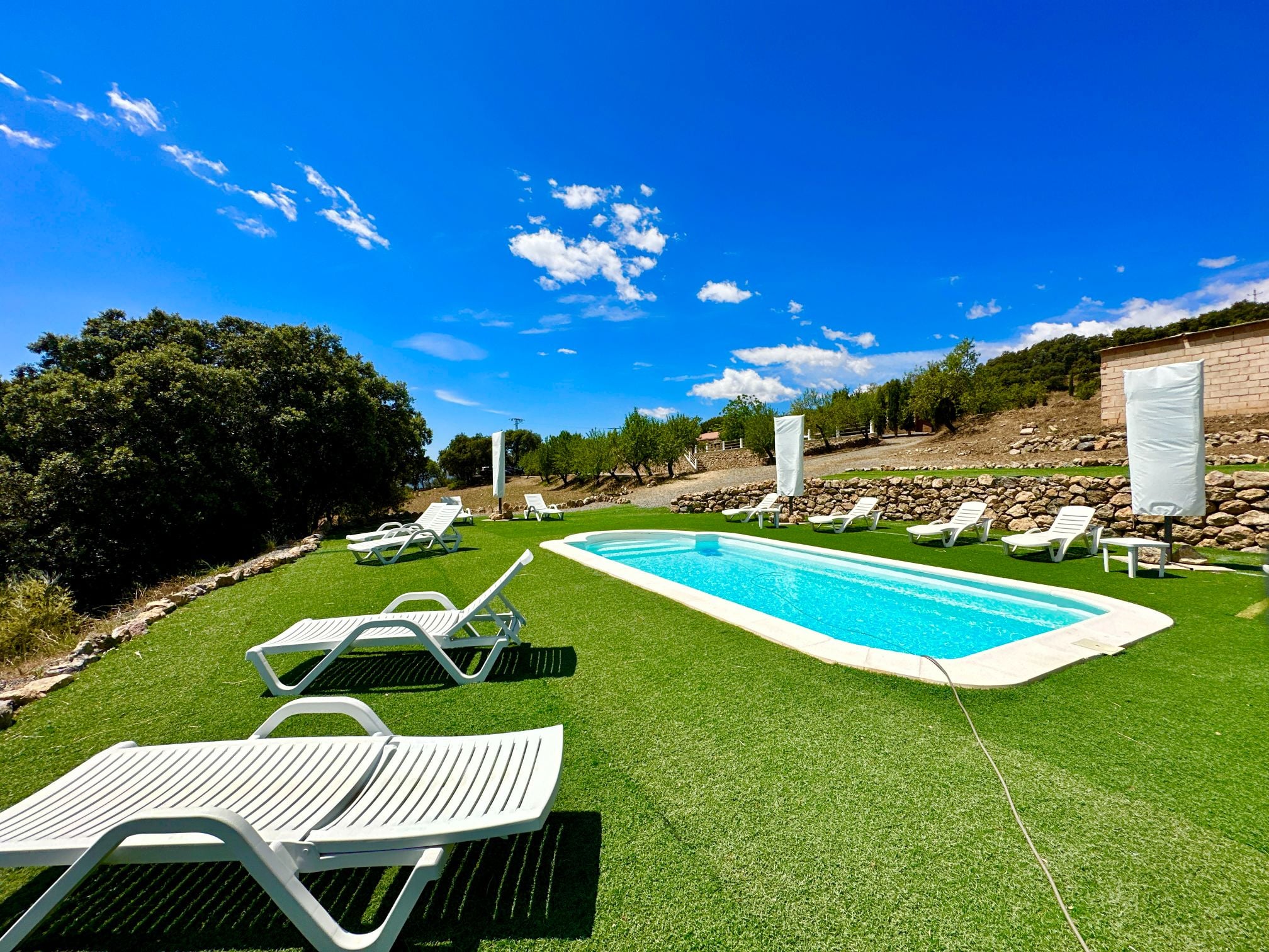 45134-spex-image-105