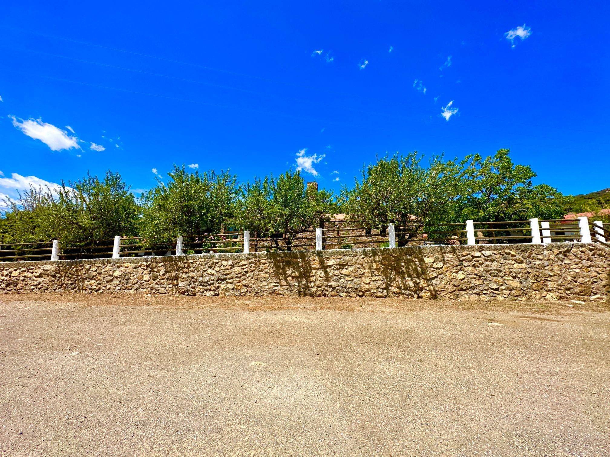 45134-spex-image-115