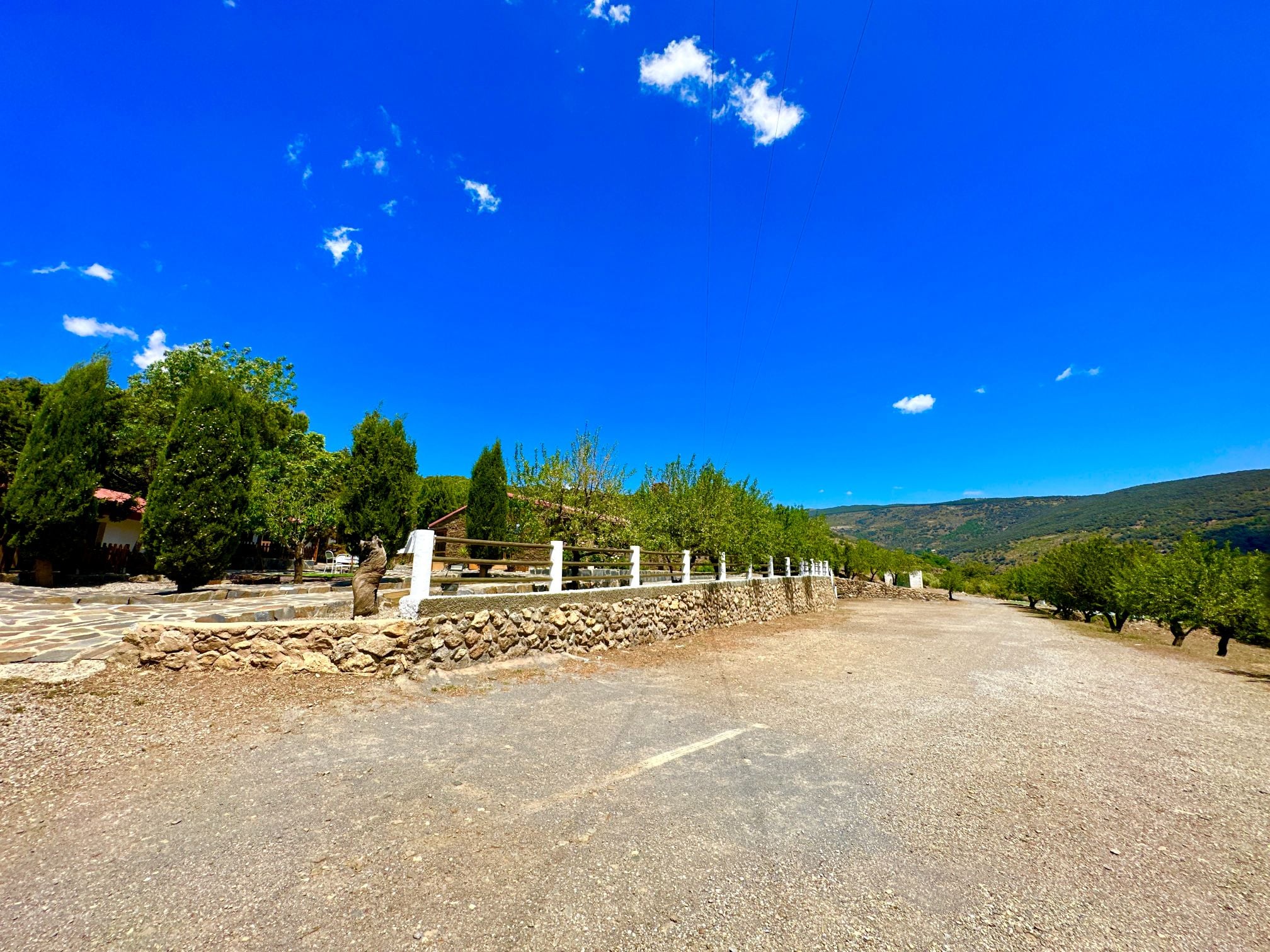 45134-spex-image-117