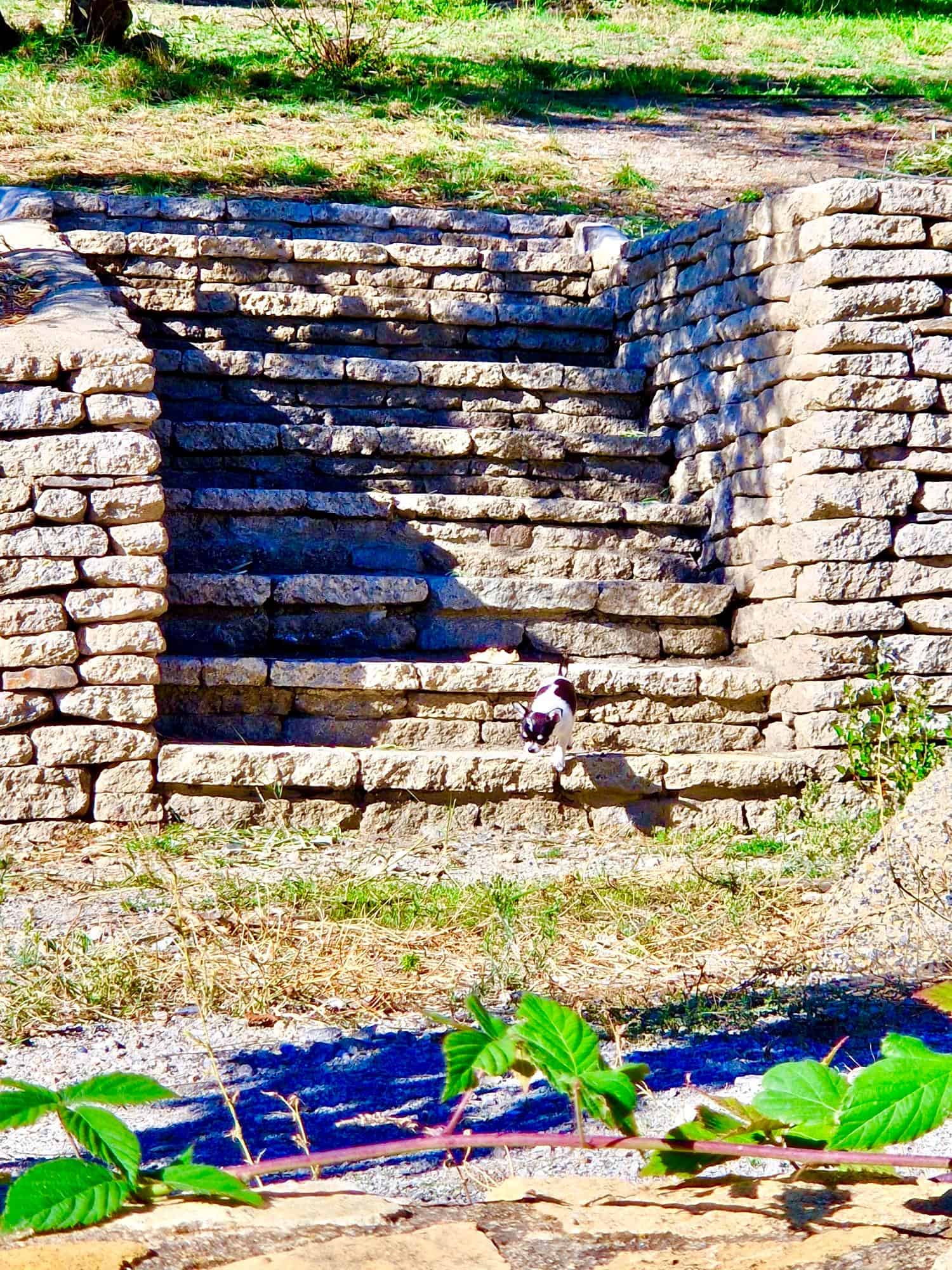 47209-spex-image-111