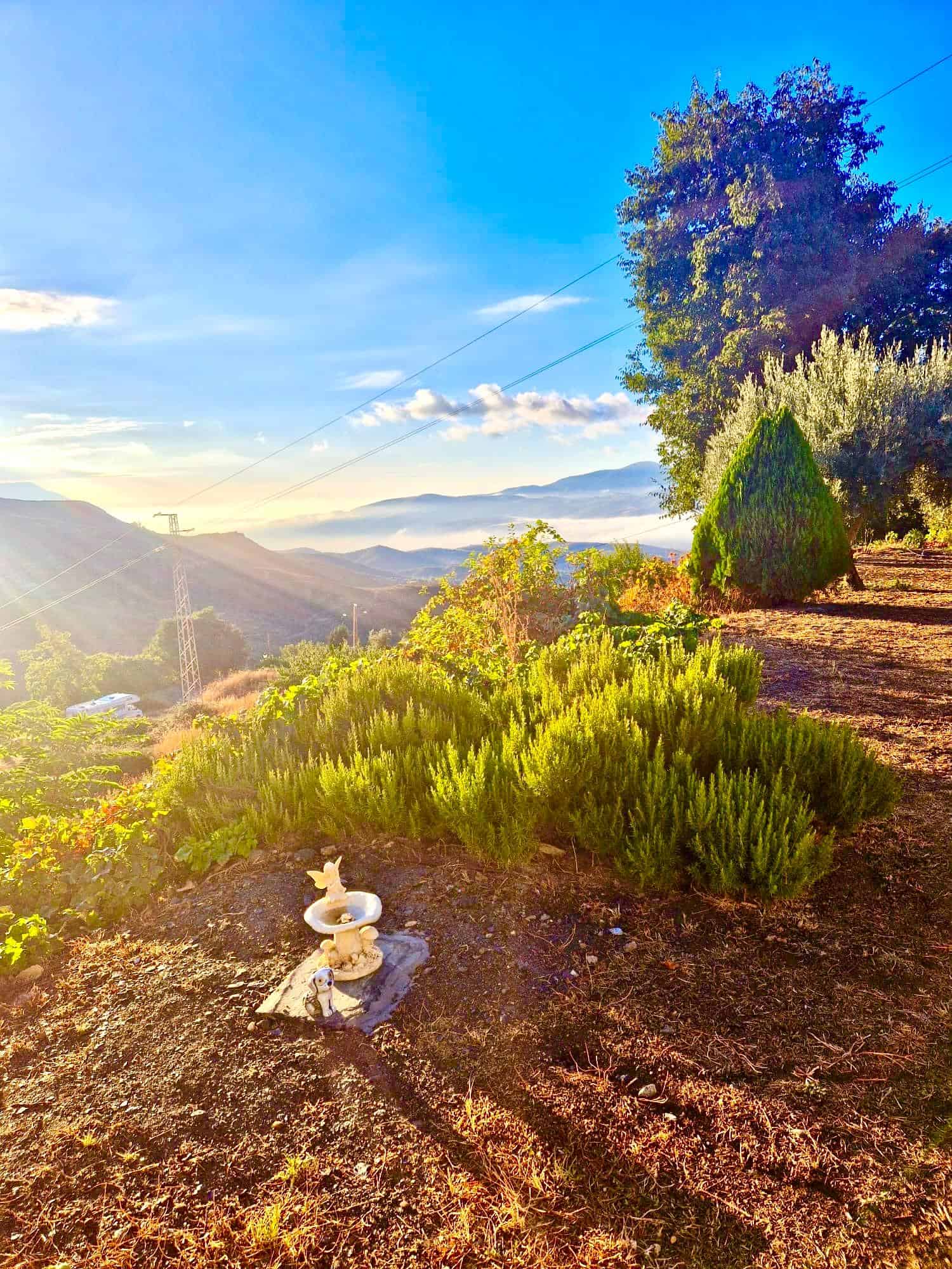 47209-spex-image-116