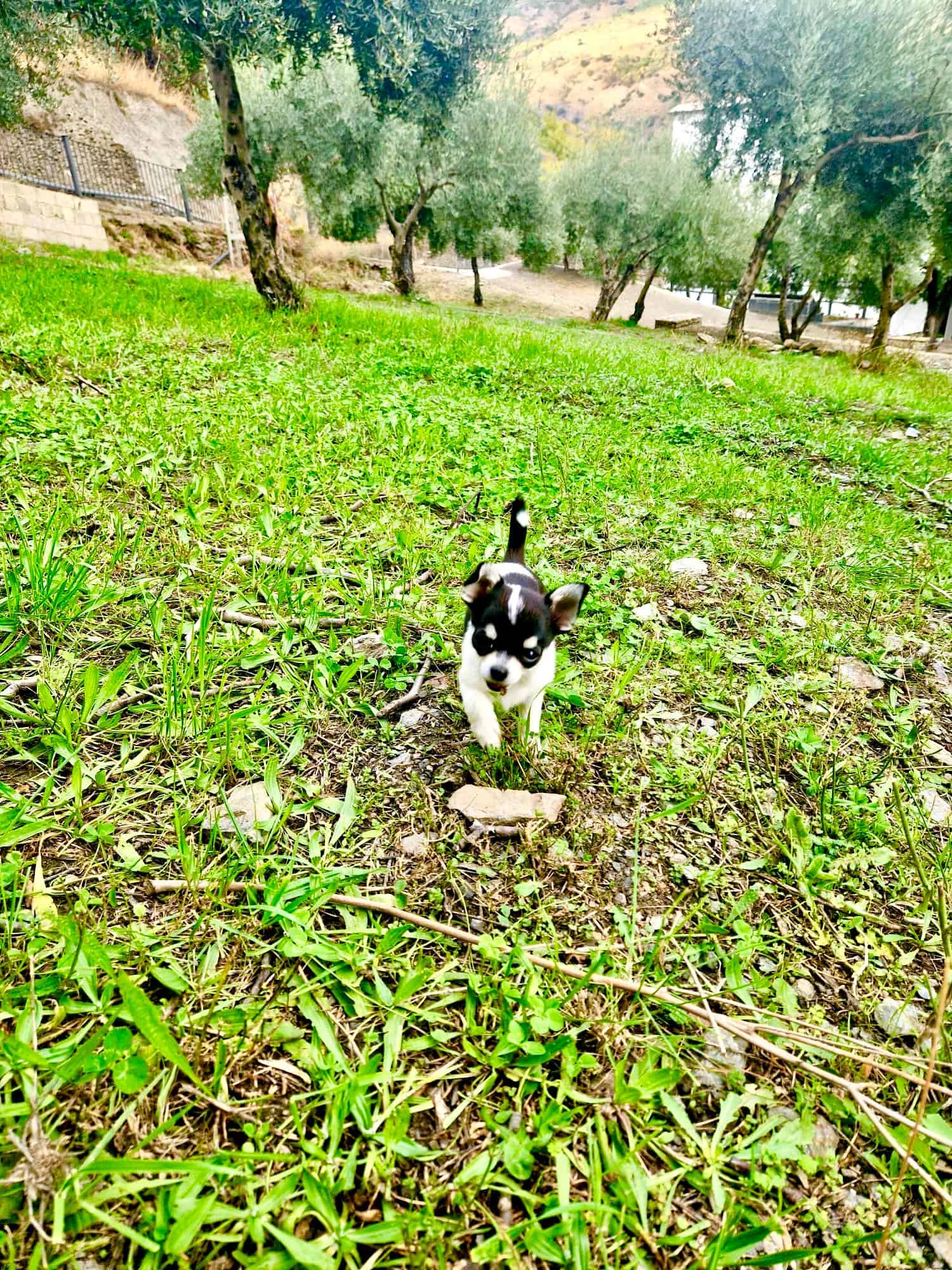 47209-spex-image-119