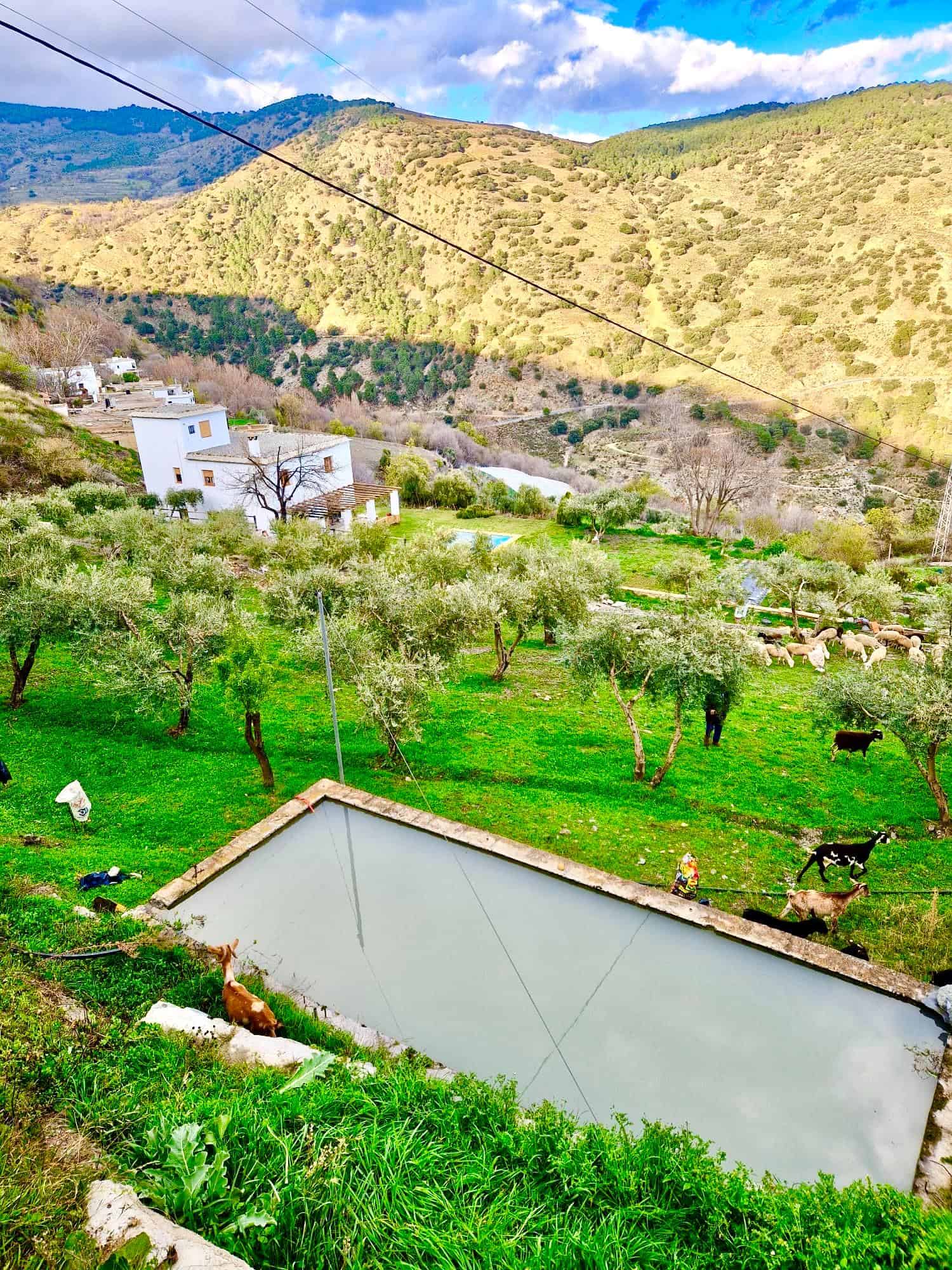 47209-spex-image-125