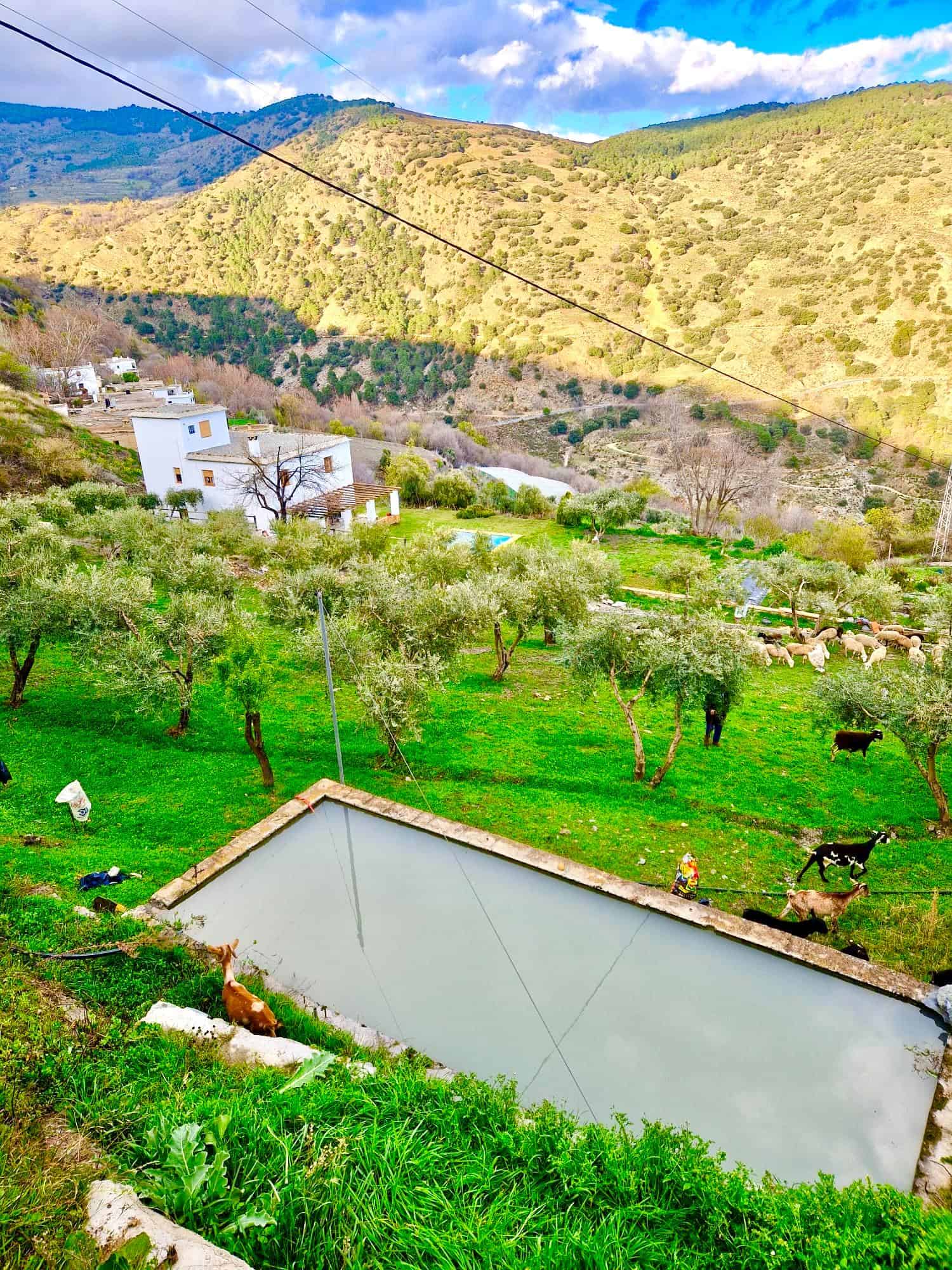 47209-spex-image-127