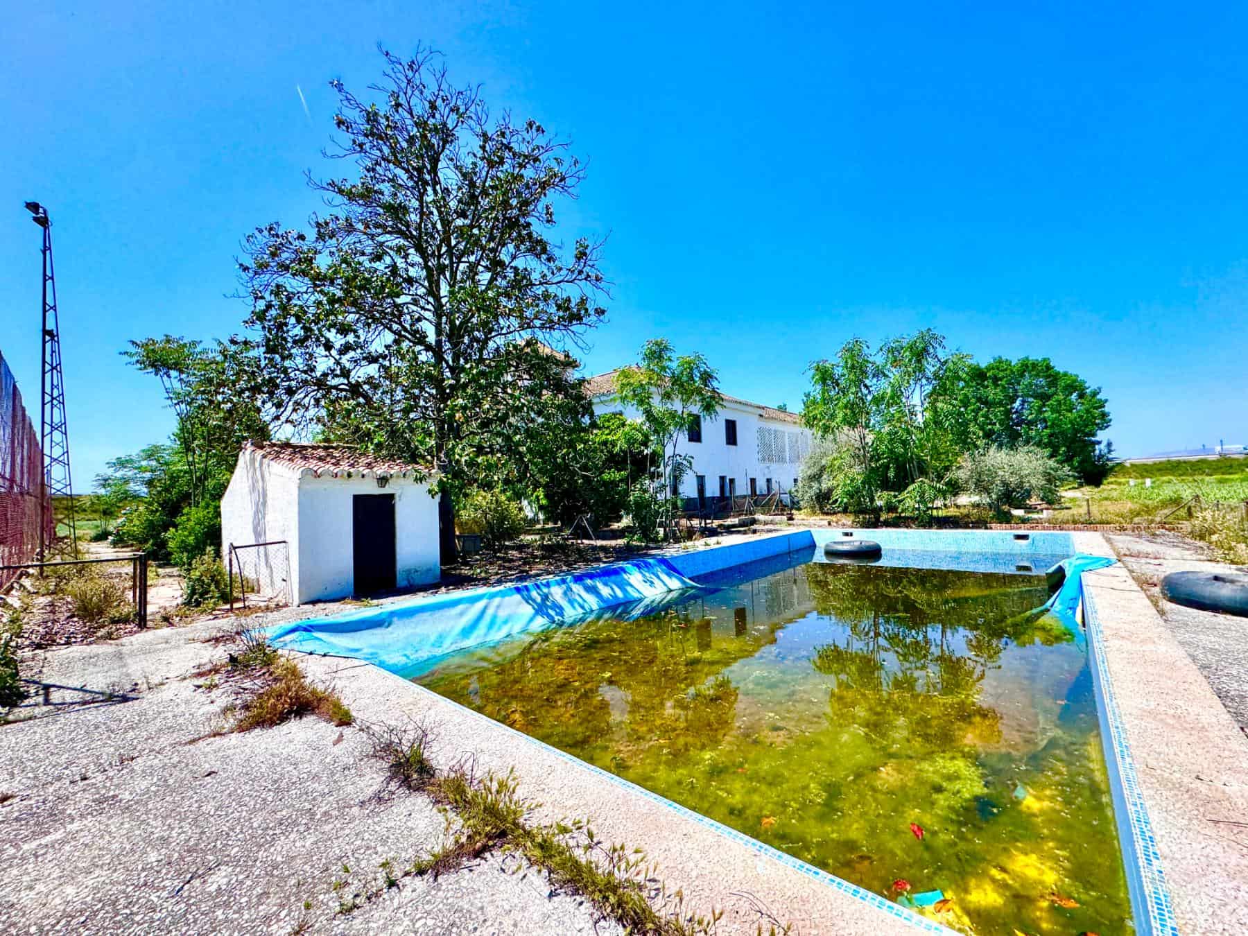 Historic Luxury Cortijo Estate Near Granada (133) Historic Luxury Cortijo Estate Near Granada (133)