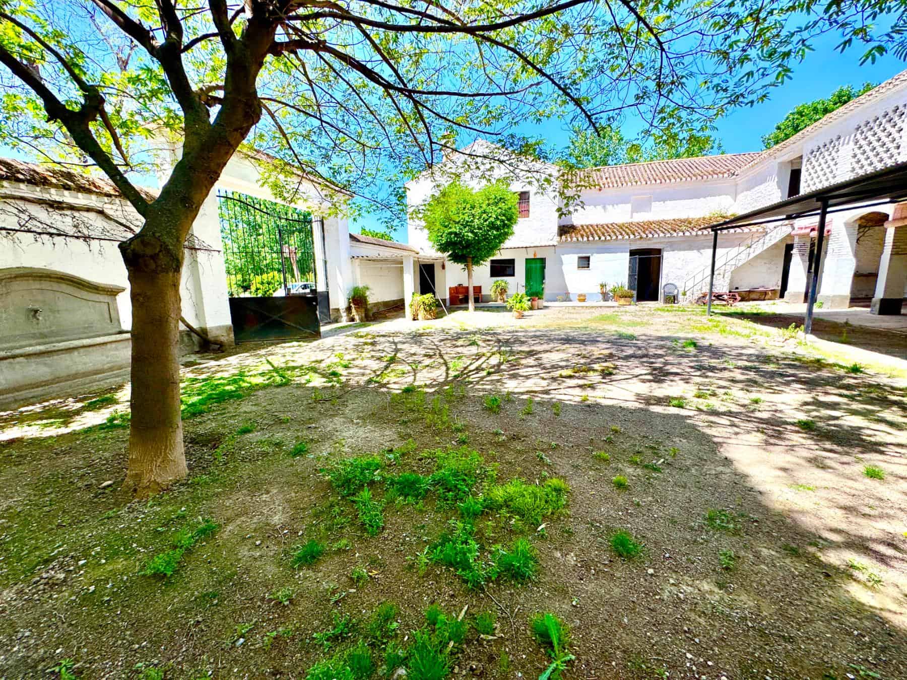 Historic Luxury Cortijo Estate Near Granada (82) Historic Luxury Cortijo Estate Near Granada (82)